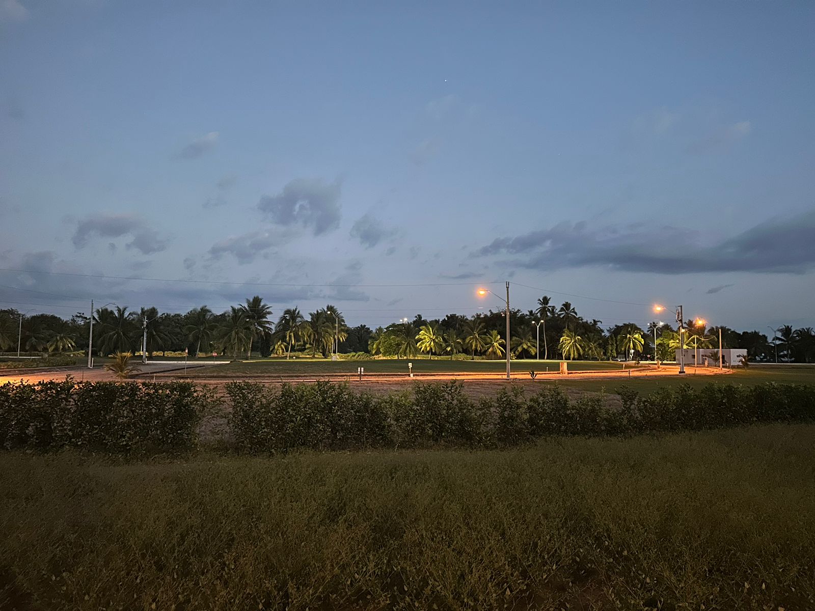 Electricity Update 1 24